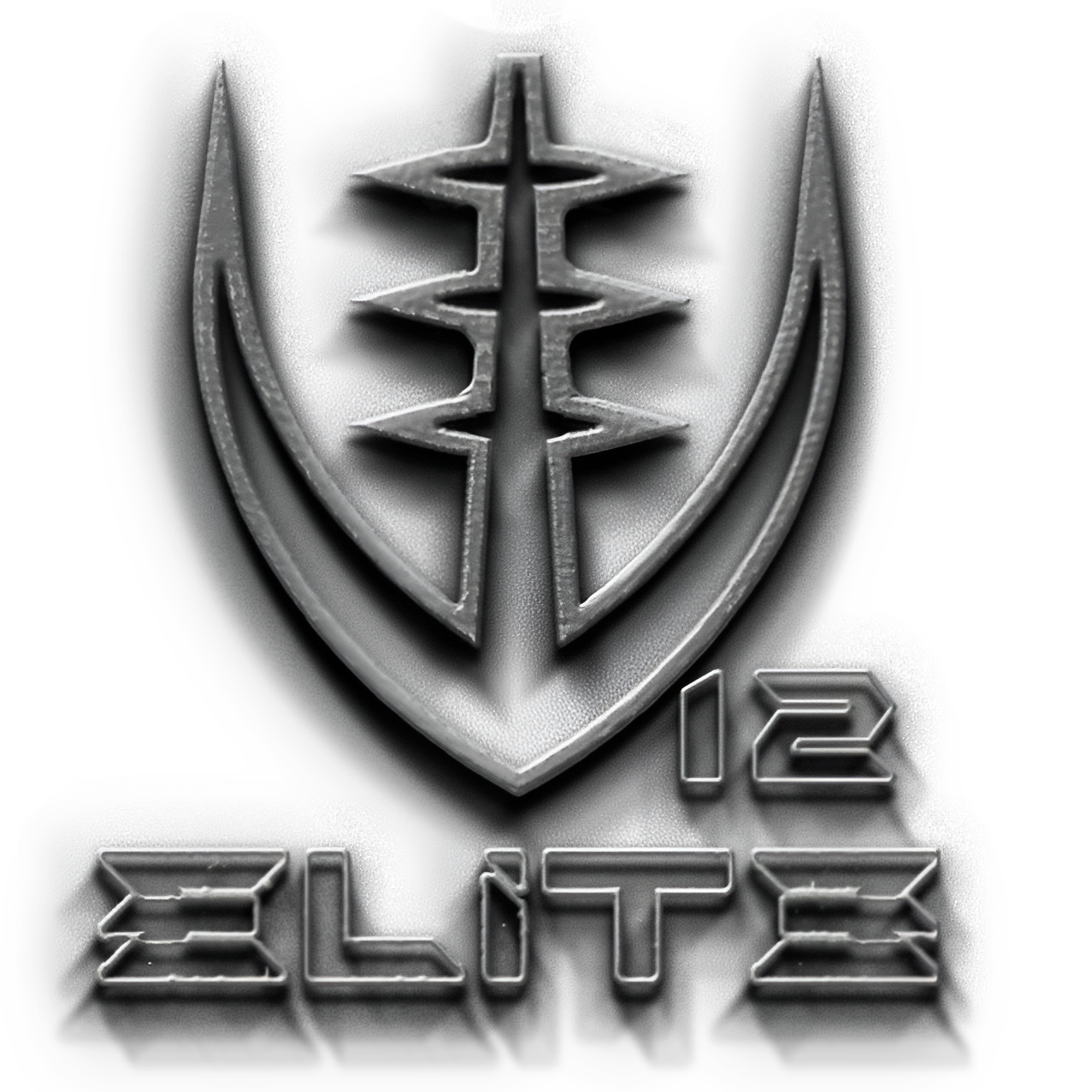 v12elite logo